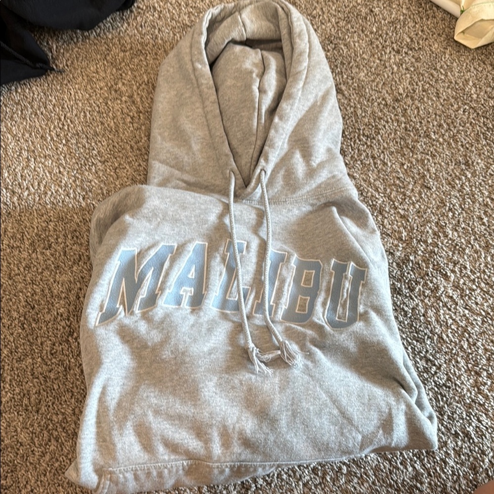 Brandy Melville Gray Malibu Sweatshirt